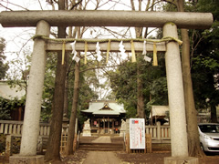 氷川神社 / ひかわじんじゃ 