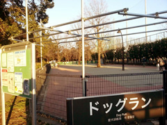 駒沢オリンピック公園ドッグラン 
