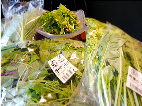 千葉県「わーふぁ道本」直送有機野菜。毎日届きます。
