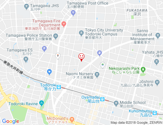 玉川神社 / たまがわじんじゃの地図 - クリックで大きく表示します